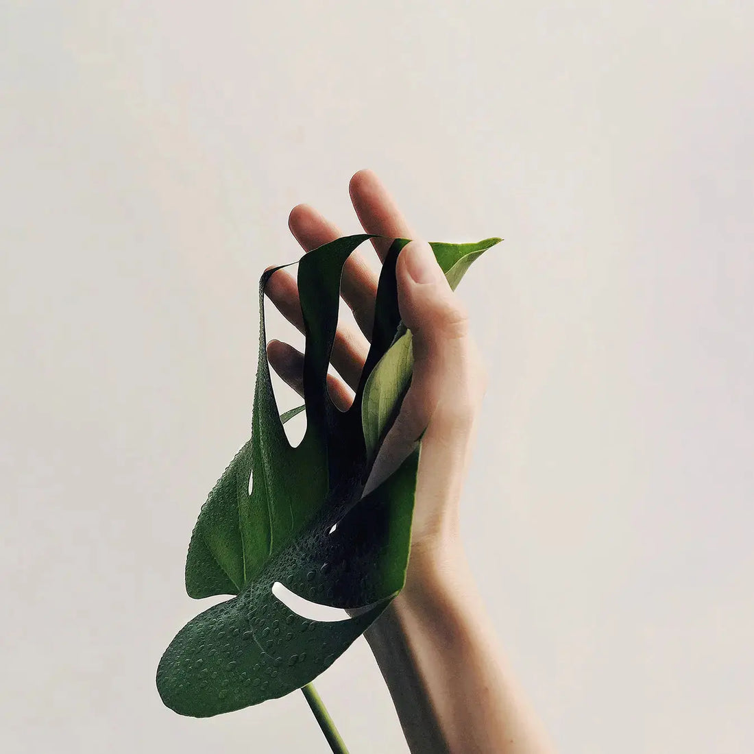 Connaissez-vous la médecine ayurvédique ? Q.Re Paris